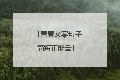 青春文案句子简短正能量