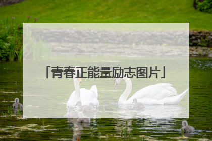 青春正能量励志图片