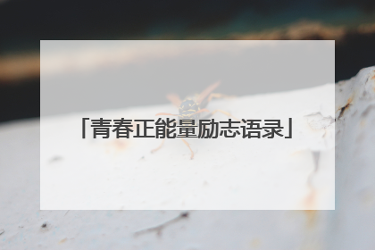 青春正能量励志语录