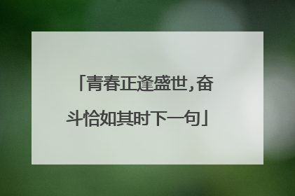 青春正逢盛世,奋斗恰如其时下一句