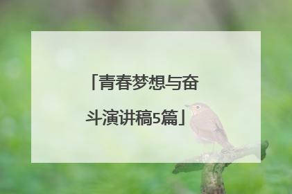青春梦想与奋斗演讲稿5篇