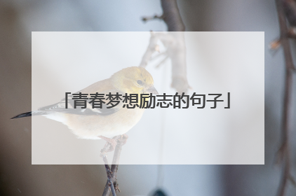 青春梦想励志的句子