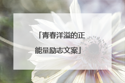 青春洋溢的正能量励志文案