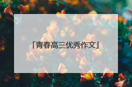 青春高三优秀作文