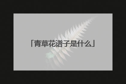 青草花谱子是什么