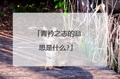青衿之志的意思是什么?