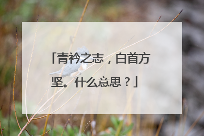青衿之志,白首方坚。什么意思?
