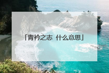 青衿之志 什么意思