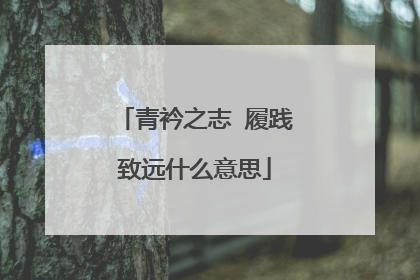 青衿之志 履践致远什么意思