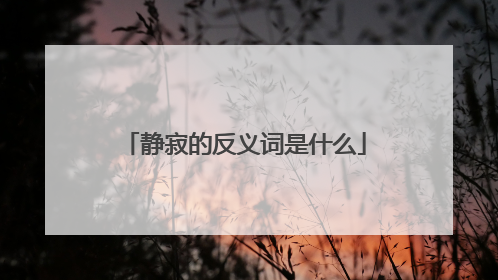 静寂的反义词是什么