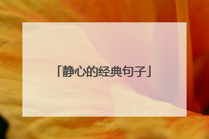 静心的经典句子