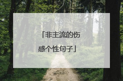非主流的伤感个性句子