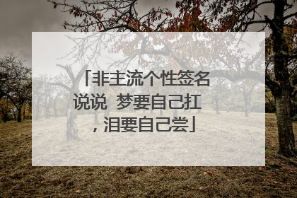 非主流个性签名说说 梦要自己扛,泪要自己尝