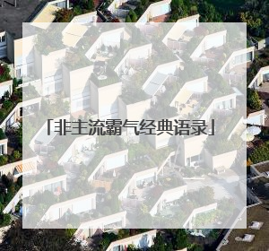 非主流霸气经典语录