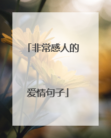 非常感人的爱情句子