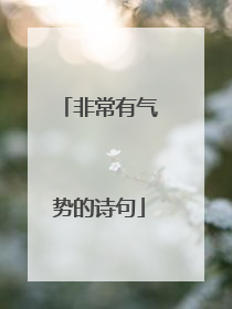 非常有气势的诗句