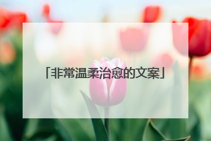 非常温柔治愈的文案