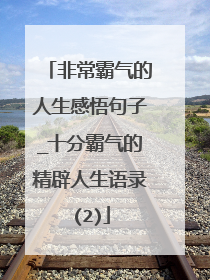 非常霸气的人生感悟句子_十分霸气的精辟人生语录(2)