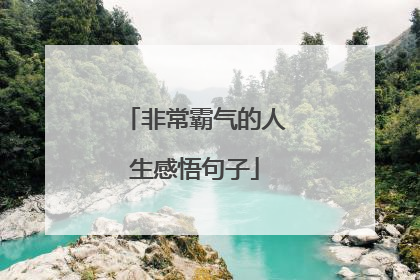 非常霸气的人生感悟句子