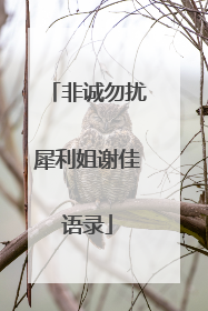 非诚勿扰犀利姐谢佳语录