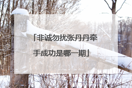 非诚勿扰张丹丹牵手成功是哪一期