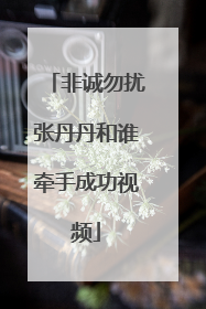 非诚勿扰张丹丹和谁牵手成功视频