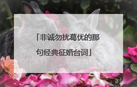 非诚勿扰葛优的那句经典征婚台词