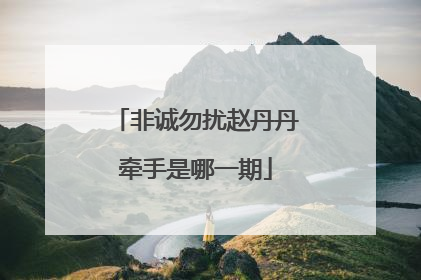 非诚勿扰赵丹丹牵手是哪一期