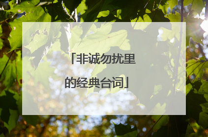 非诚勿扰里的经典台词