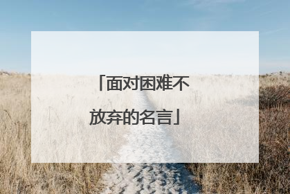 面对困难不放弃的名言