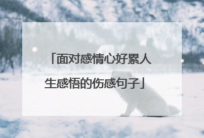 面对感情心好累人生感悟的伤感句子