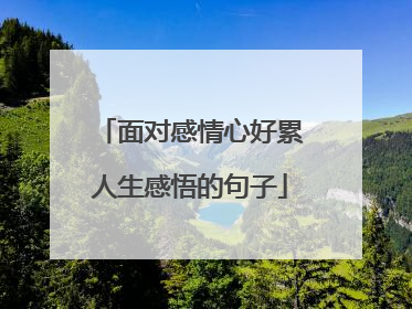 面对感情心好累人生感悟的句子