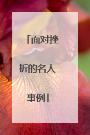 面对挫折的名人事例