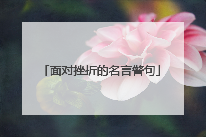 面对挫折的名言警句