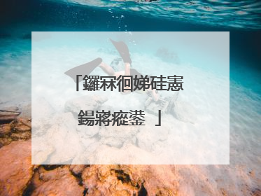 鑼冧徊娣硅憲鍚嶈瘲鍙�