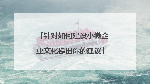 针对如何建设小微企业文化提出你的建议