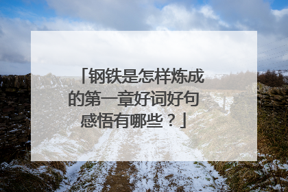 钢铁是怎样炼成的第一章好词好句感悟有哪些？