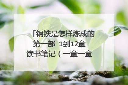 钢铁是怎样炼成的第一部 1到12章读书笔记（一章一章写 要简略）