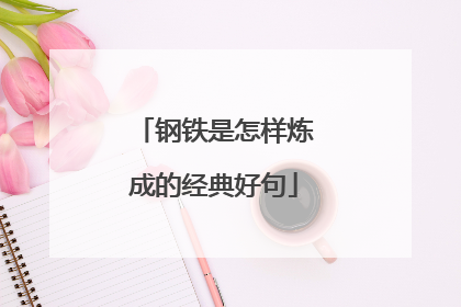 钢铁是怎样炼成的经典好句