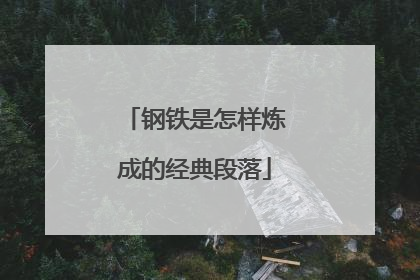 钢铁是怎样炼成的经典段落