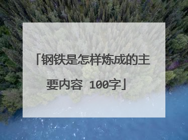 钢铁是怎样炼成的主要内容 100字