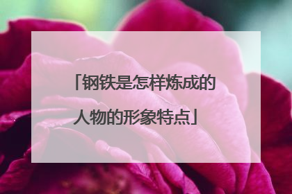 钢铁是怎样炼成的人物的形象特点