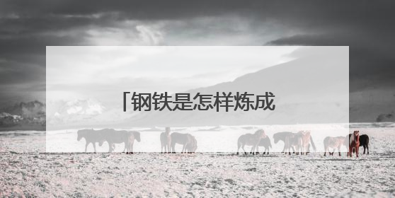 钢铁是怎样炼成的人物形象分析