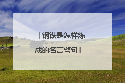 钢铁是怎样炼成的名言警句