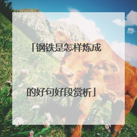 钢铁是怎样炼成的好句好段赏析