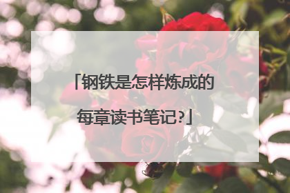 钢铁是怎样炼成的每章读书笔记?