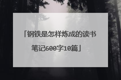 钢铁是怎样炼成的读书笔记600字10篇