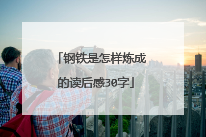 钢铁是怎样炼成的读后感30字
