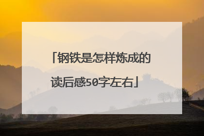 钢铁是怎样炼成的读后感50字左右