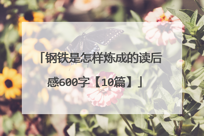 钢铁是怎样炼成的读后感600字【10篇】